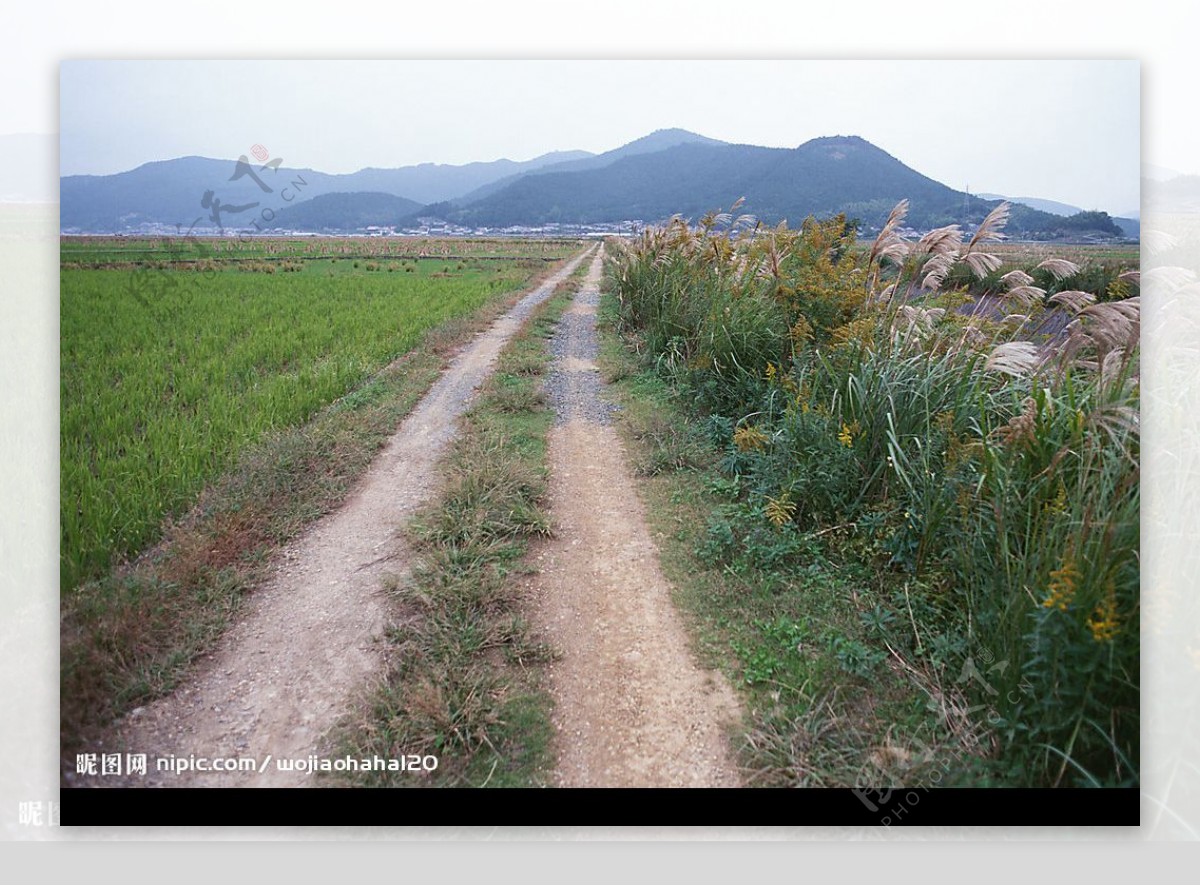 道路风景图片