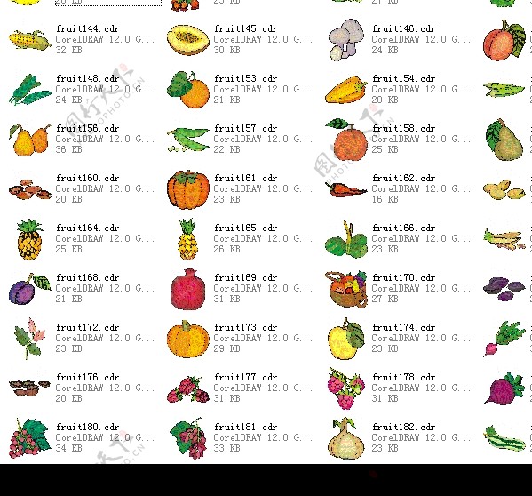 水果蔬菜矢量图片
