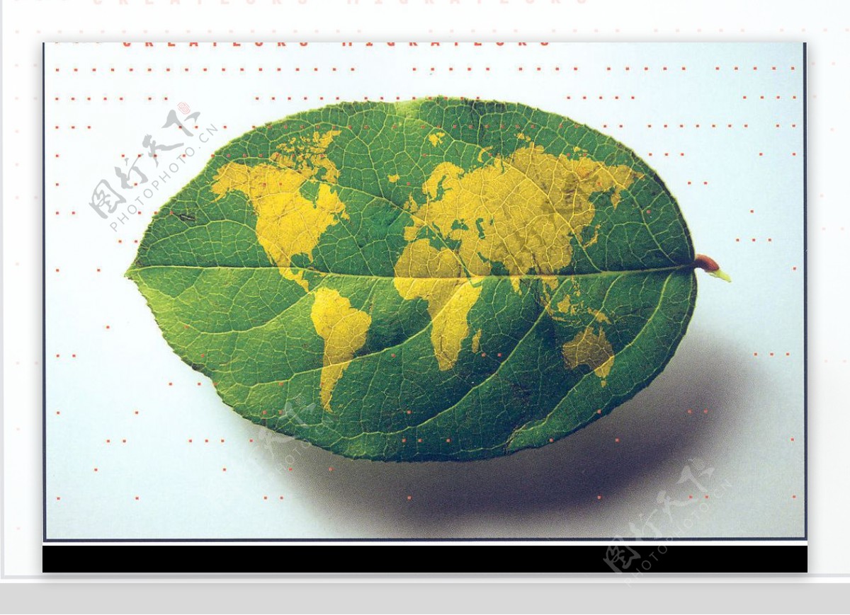 绿叶上有世界版块图片