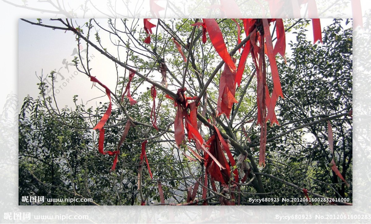 挂有红布条的树图片