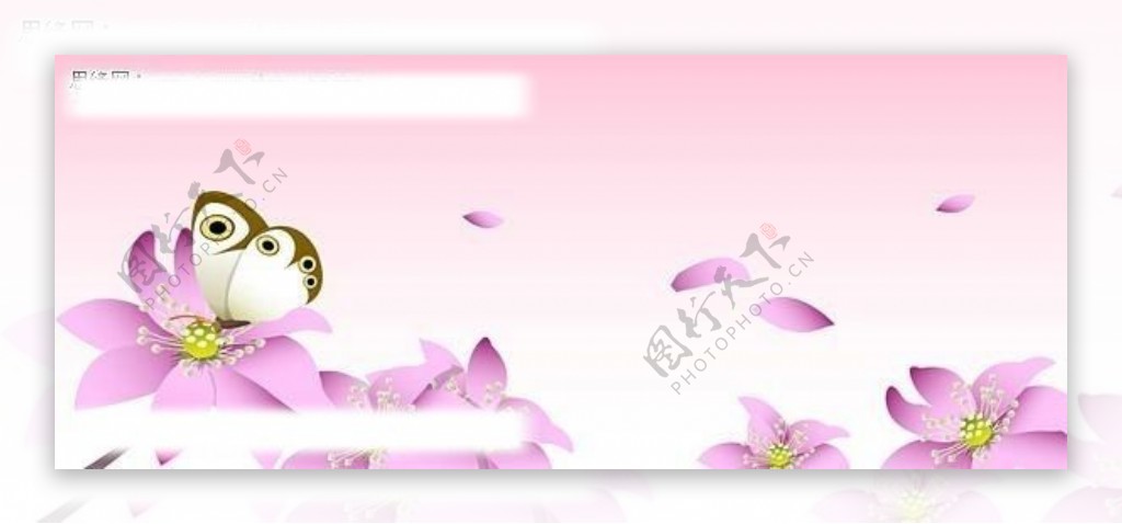 粉红色的花与蝴蝶矢量素材图片