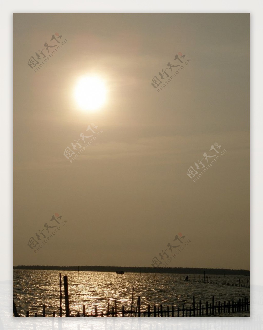 潟湖的夕日图片
