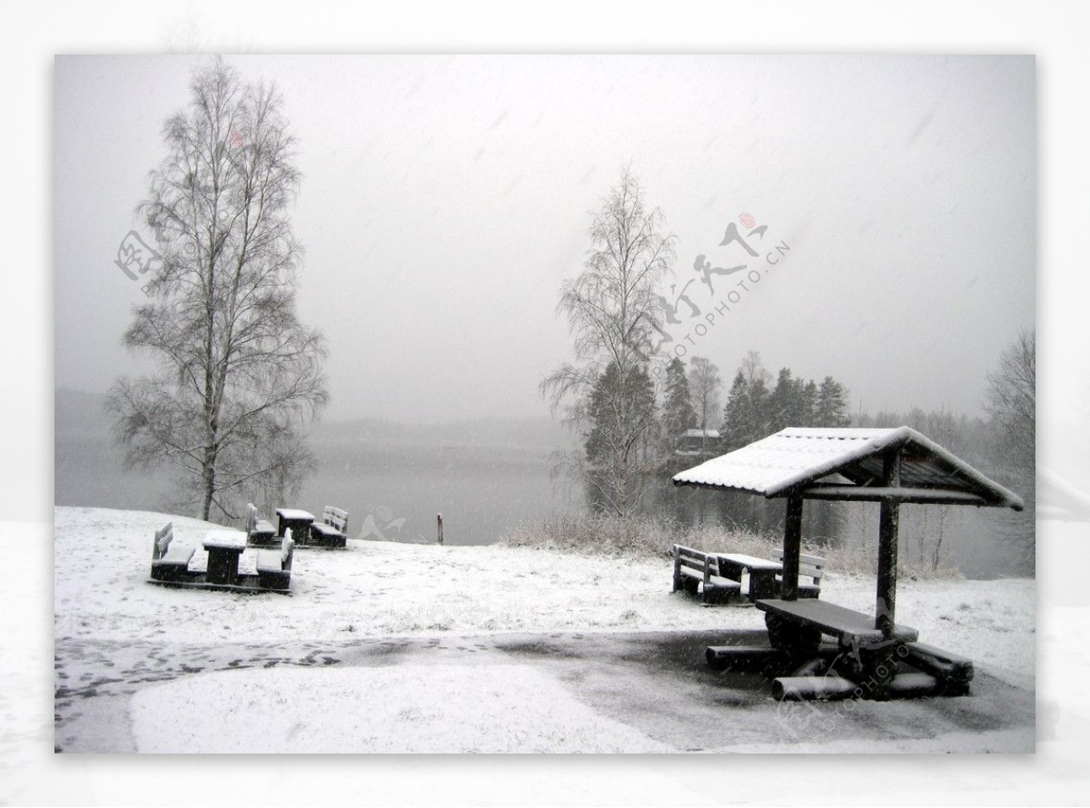 挪威之雪图片