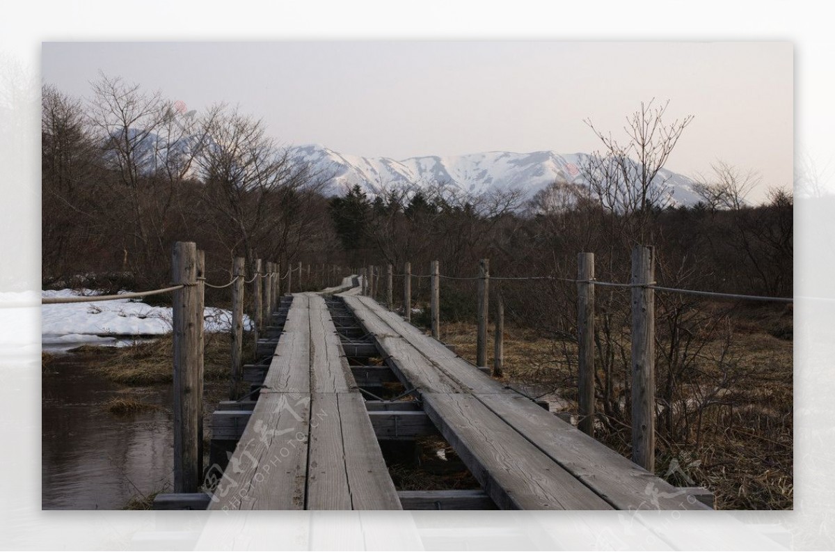 雪山木道图片