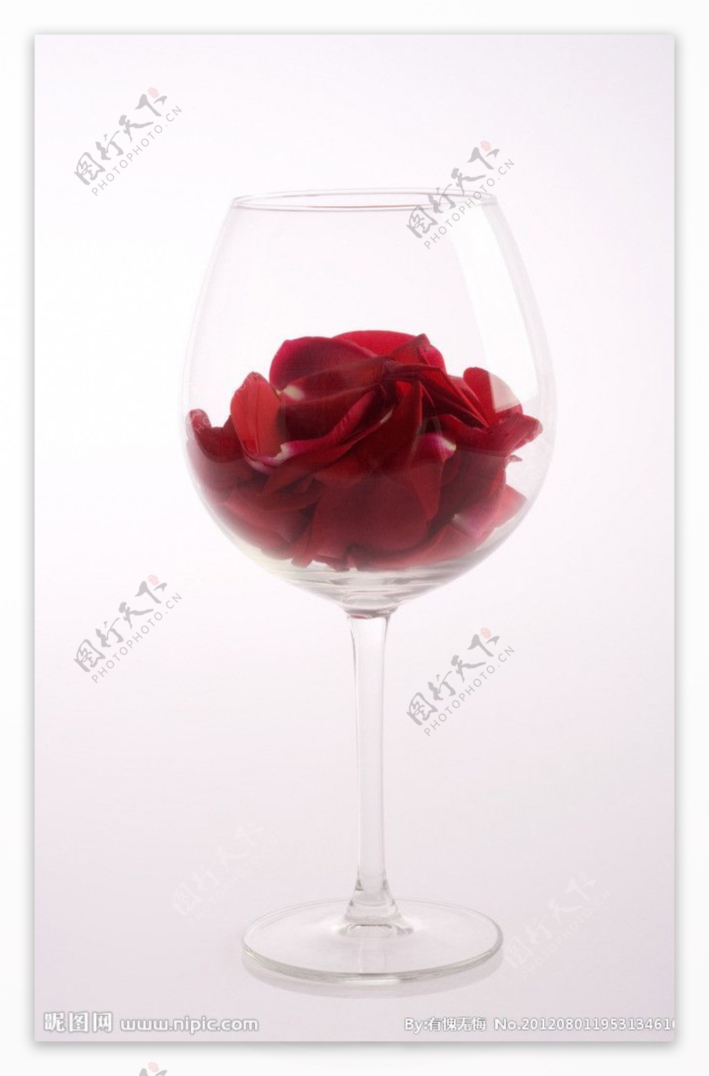 杯中玫瑰图片