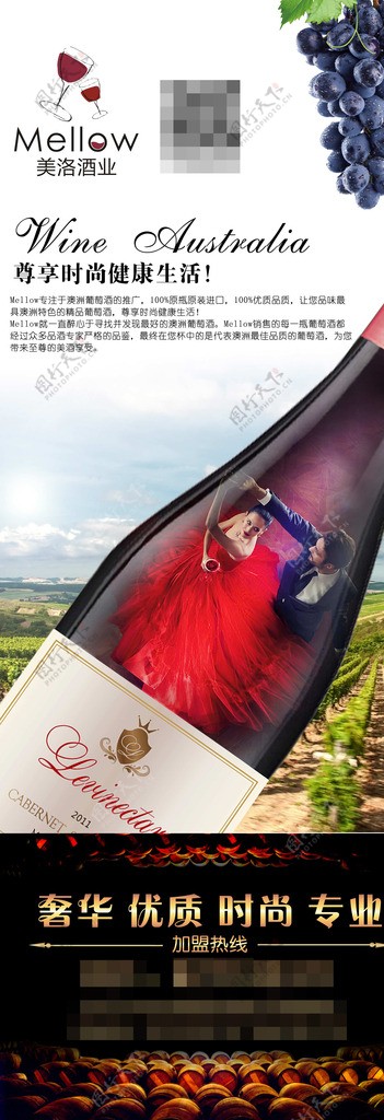 红酒葡萄酒展架图片