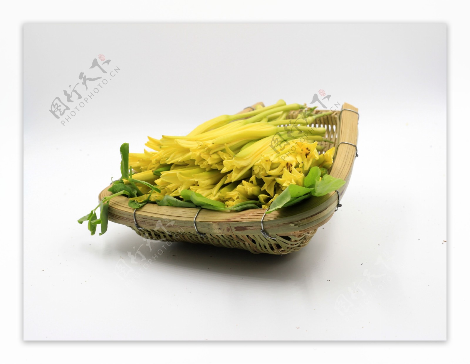 黄花菜图片