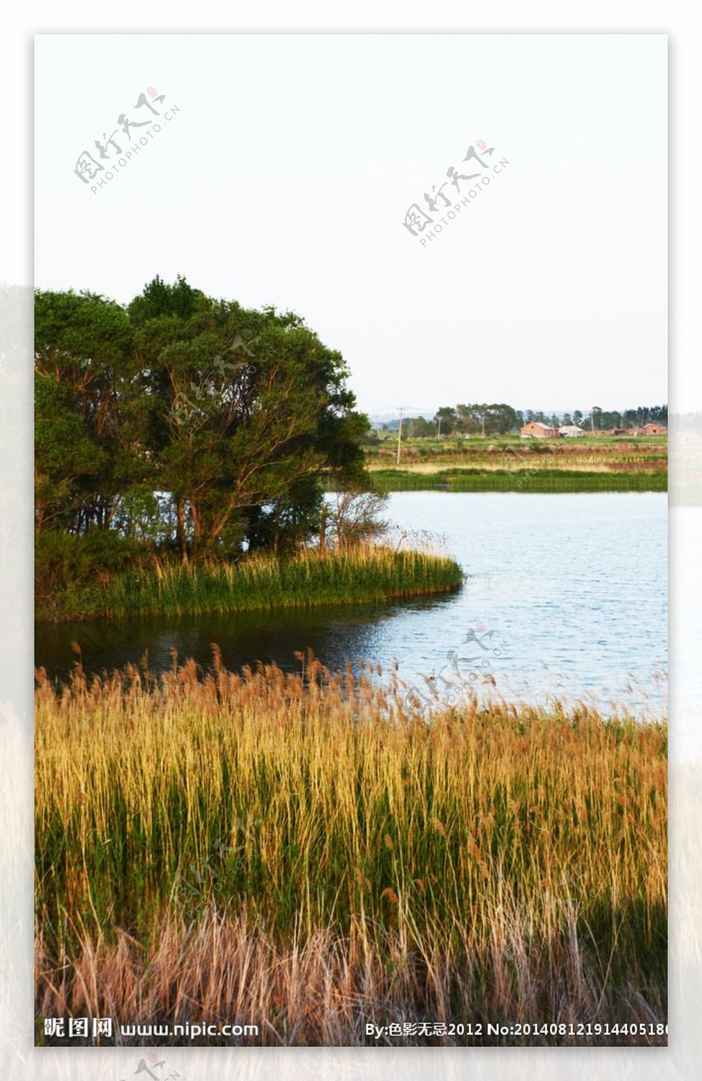 滨江湿地图片