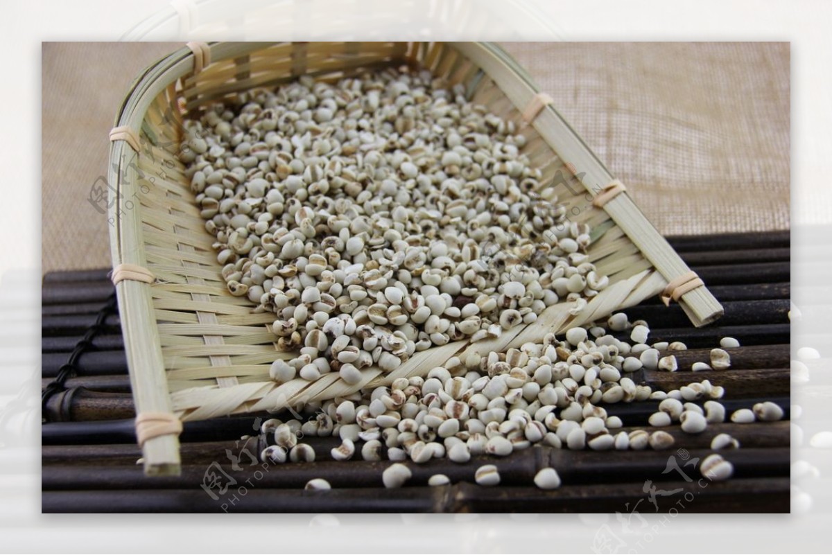 禾之坊杂粮 产地直供 大薏仁米 30kg件-阿里巴巴