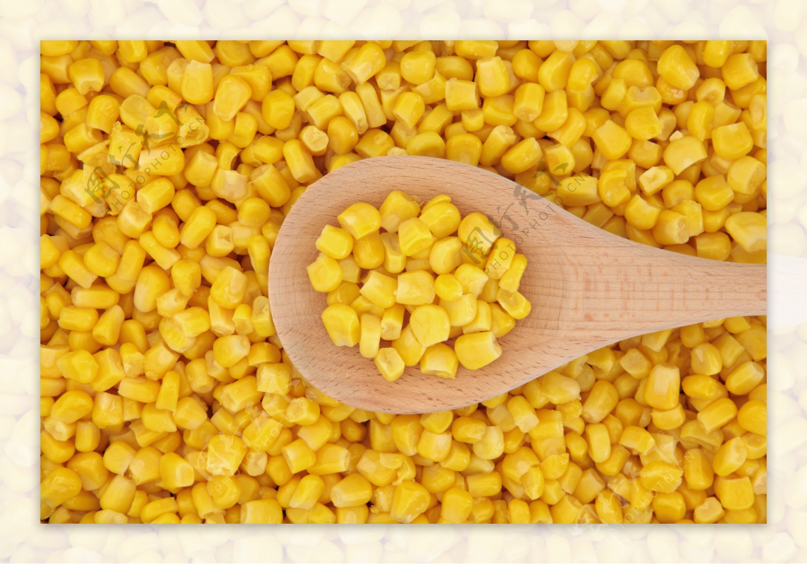 玉米粒五谷杂粮图片