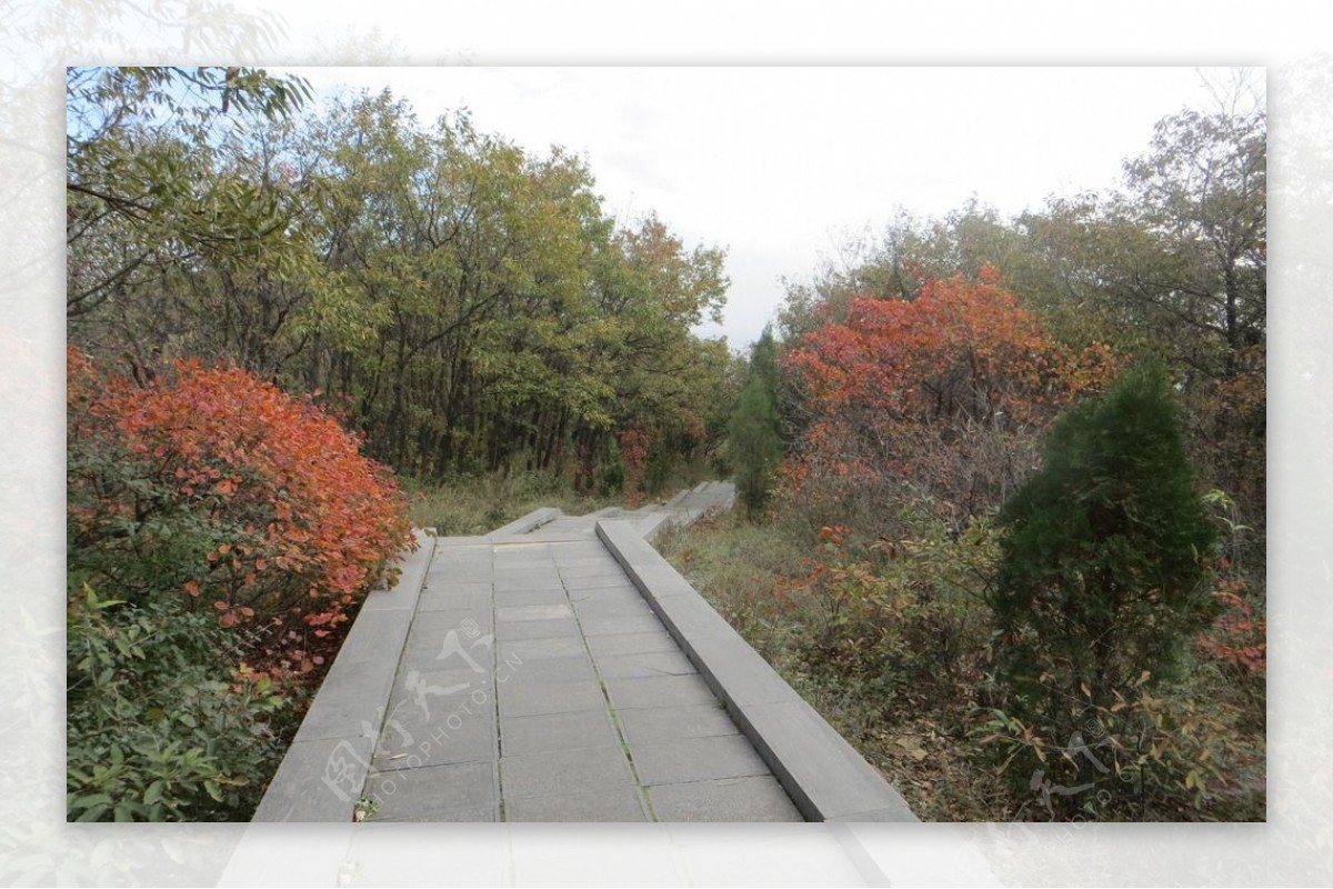 太室山登山步道图片