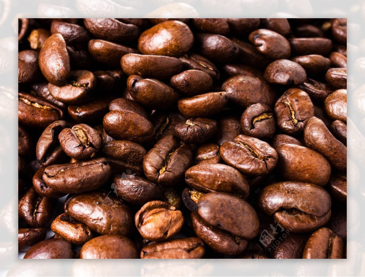 咖啡豆子图片