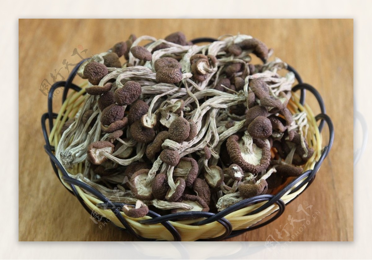 茶树菇图片