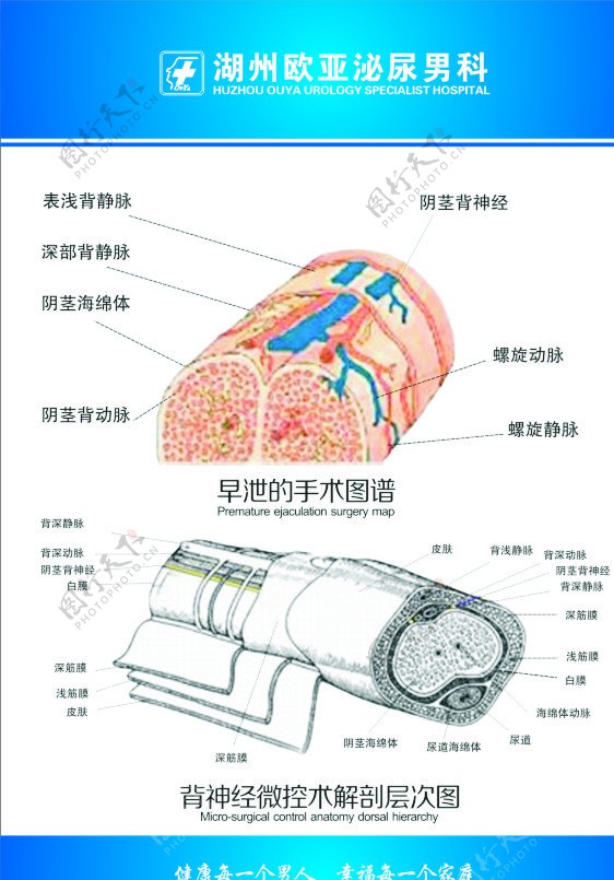 医生科室图谱背神经图片