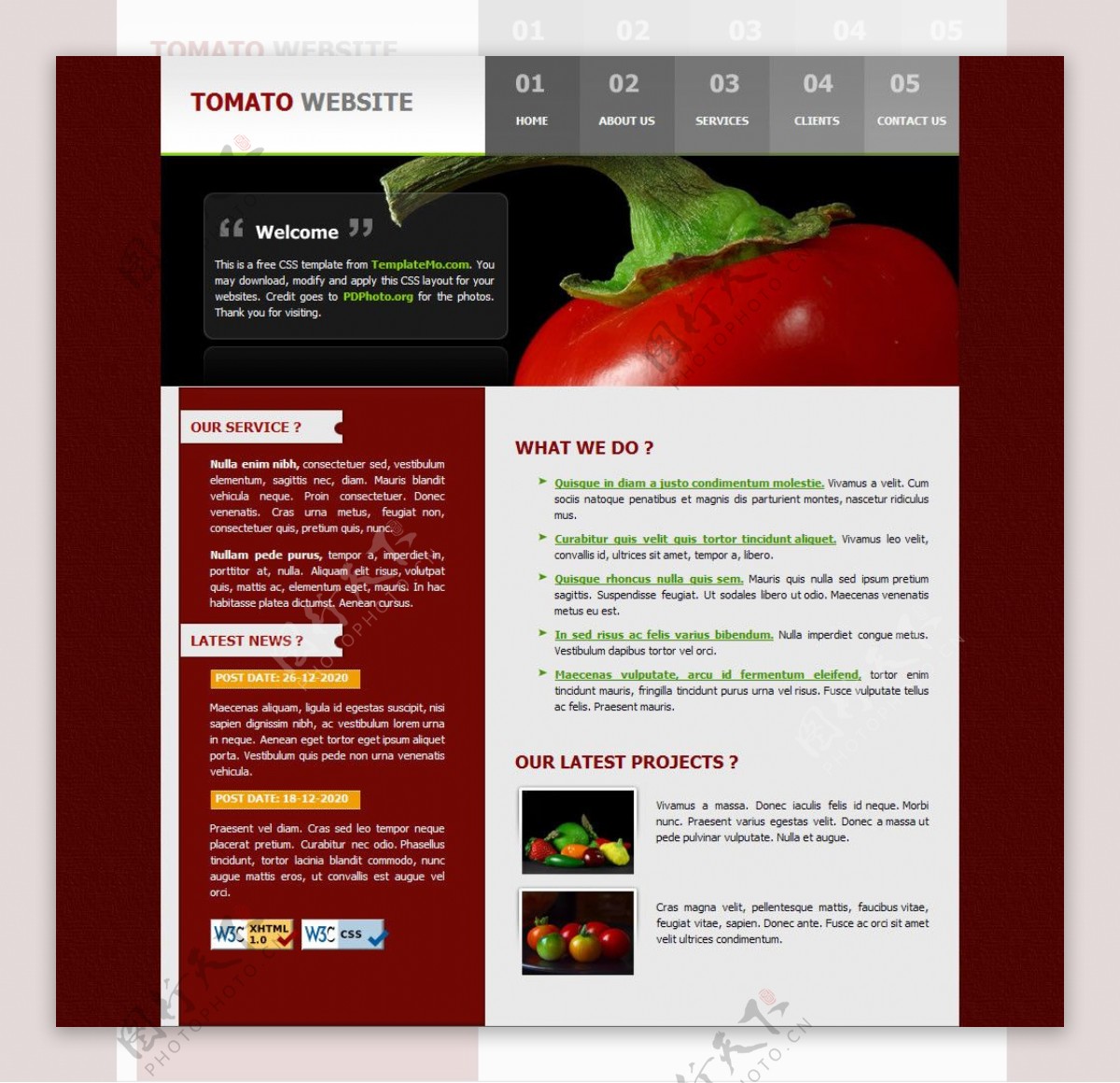 西红柿网站模版图片