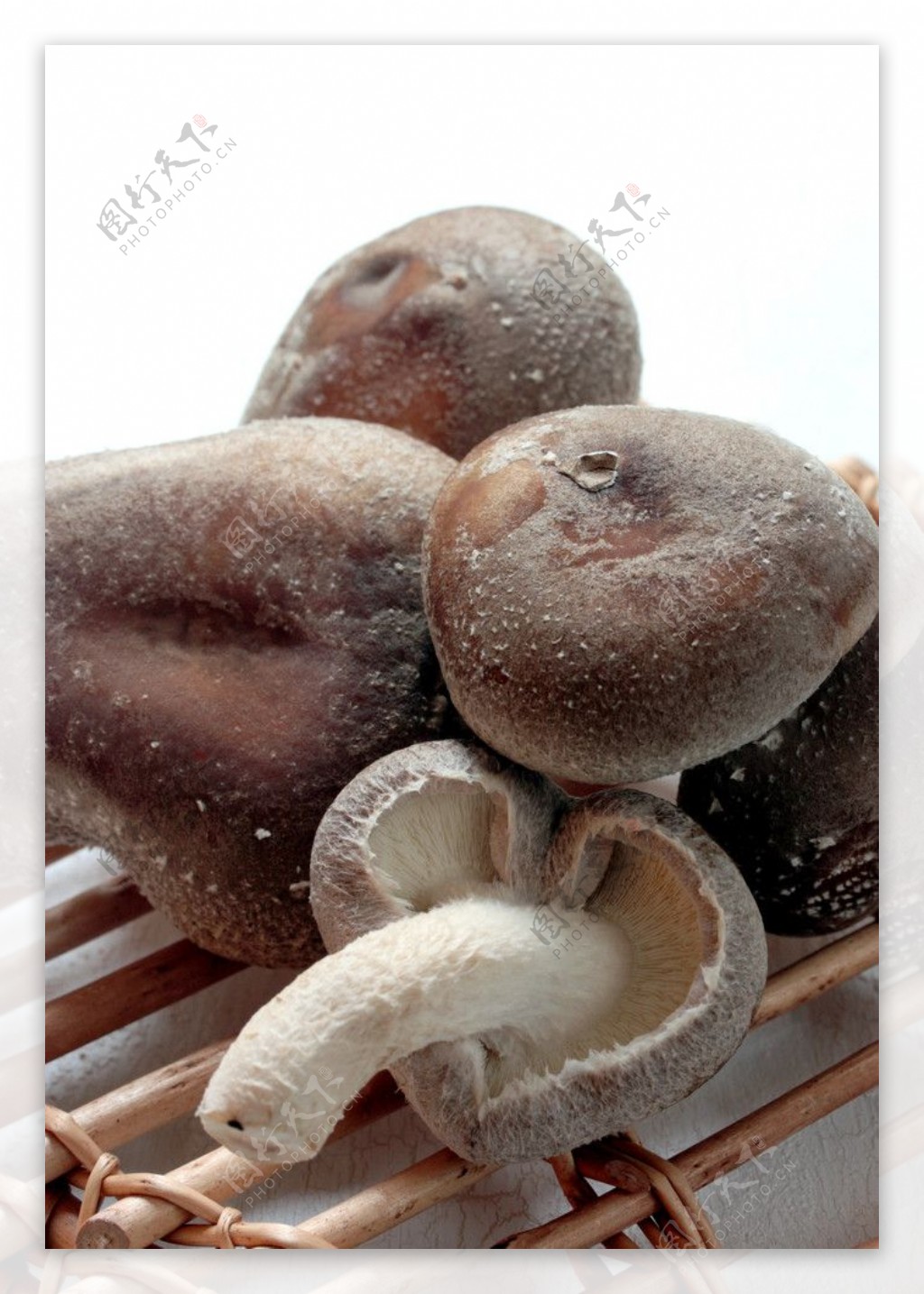鲜蘑菇图片