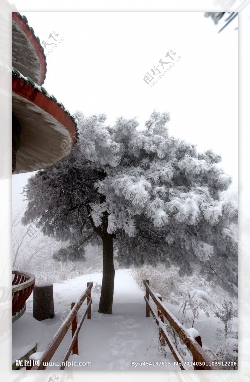 渑池韶山雪韶山雪图片