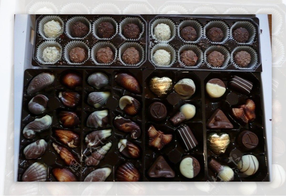 比利时巧克力图片