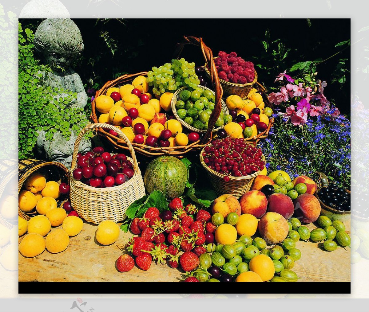 美食水果色彩蔬菜图片