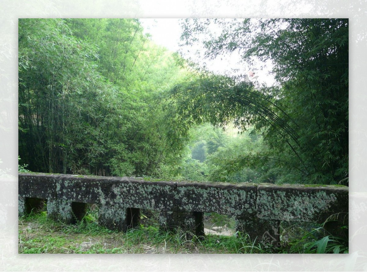 竹林石桥图片