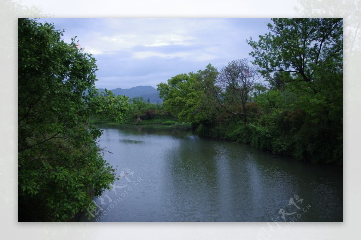 西溪湿地植物园图片