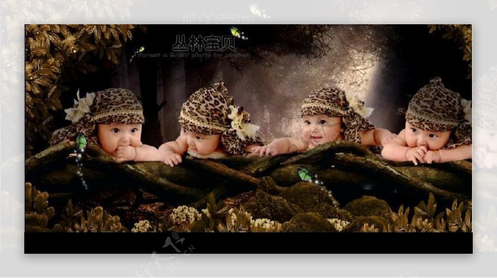 儿童摄影模板丛林宝贝不包含人物图片