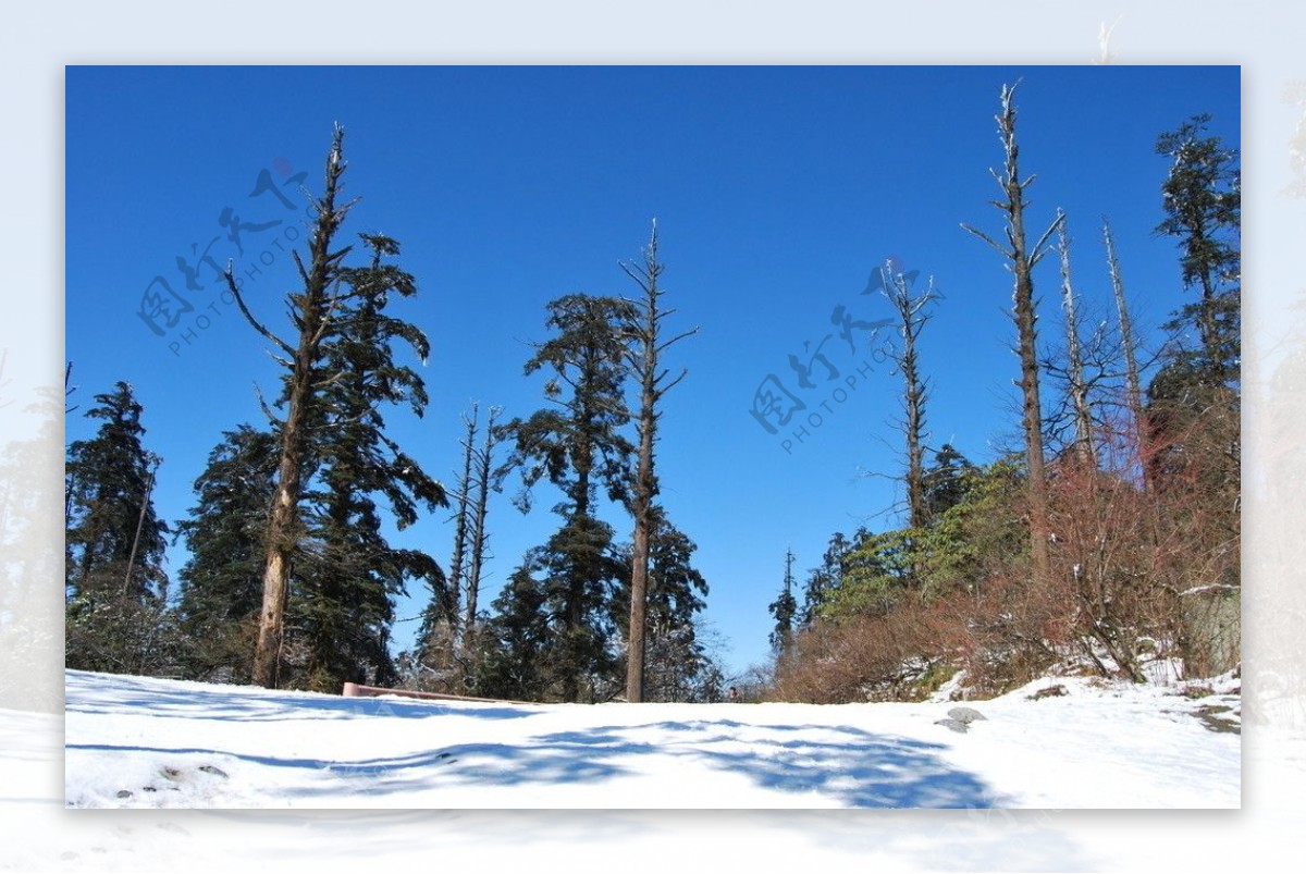 冬天的峨嵋山图片