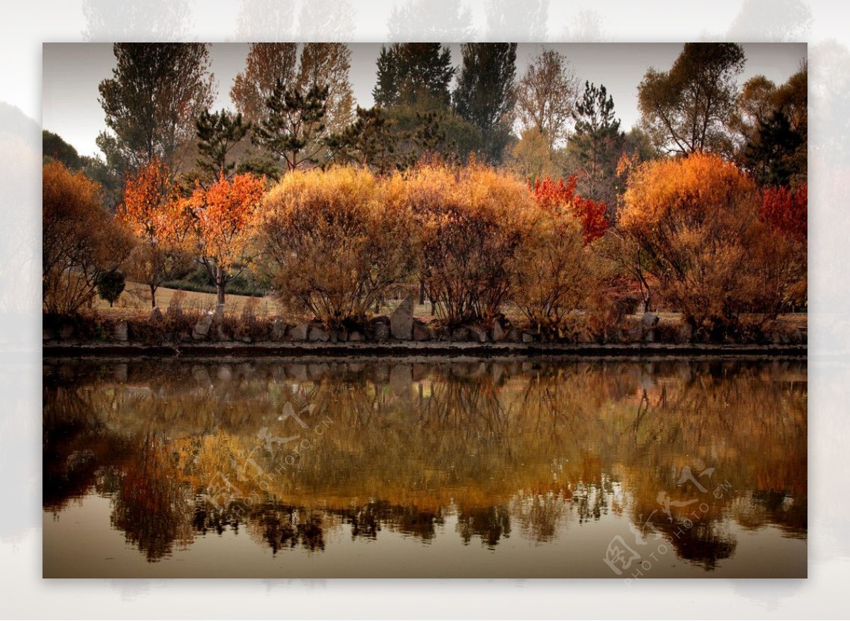 秋色水塘图片