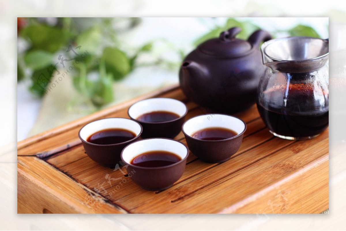 红山茶图片