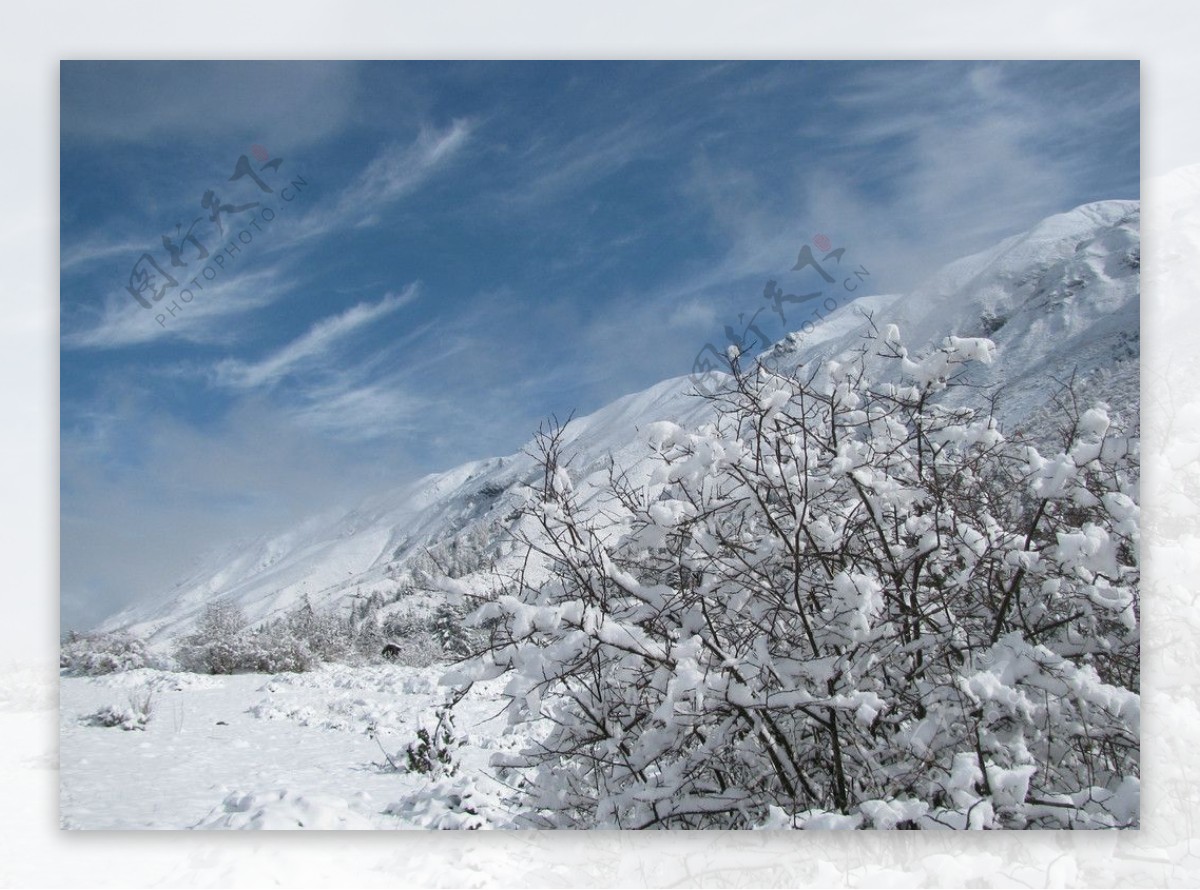 大雪封山图片