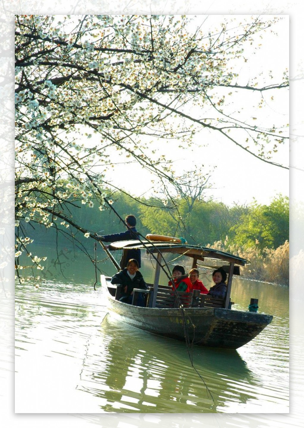 杭州西溪湿地景色图片