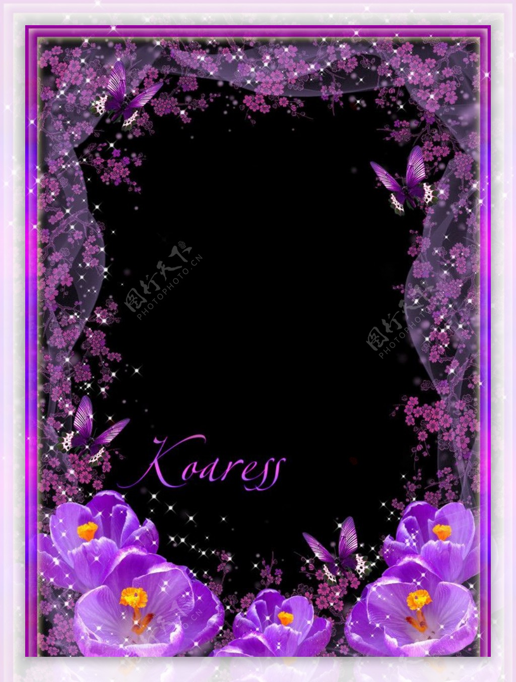 紫色鲜花边框图片