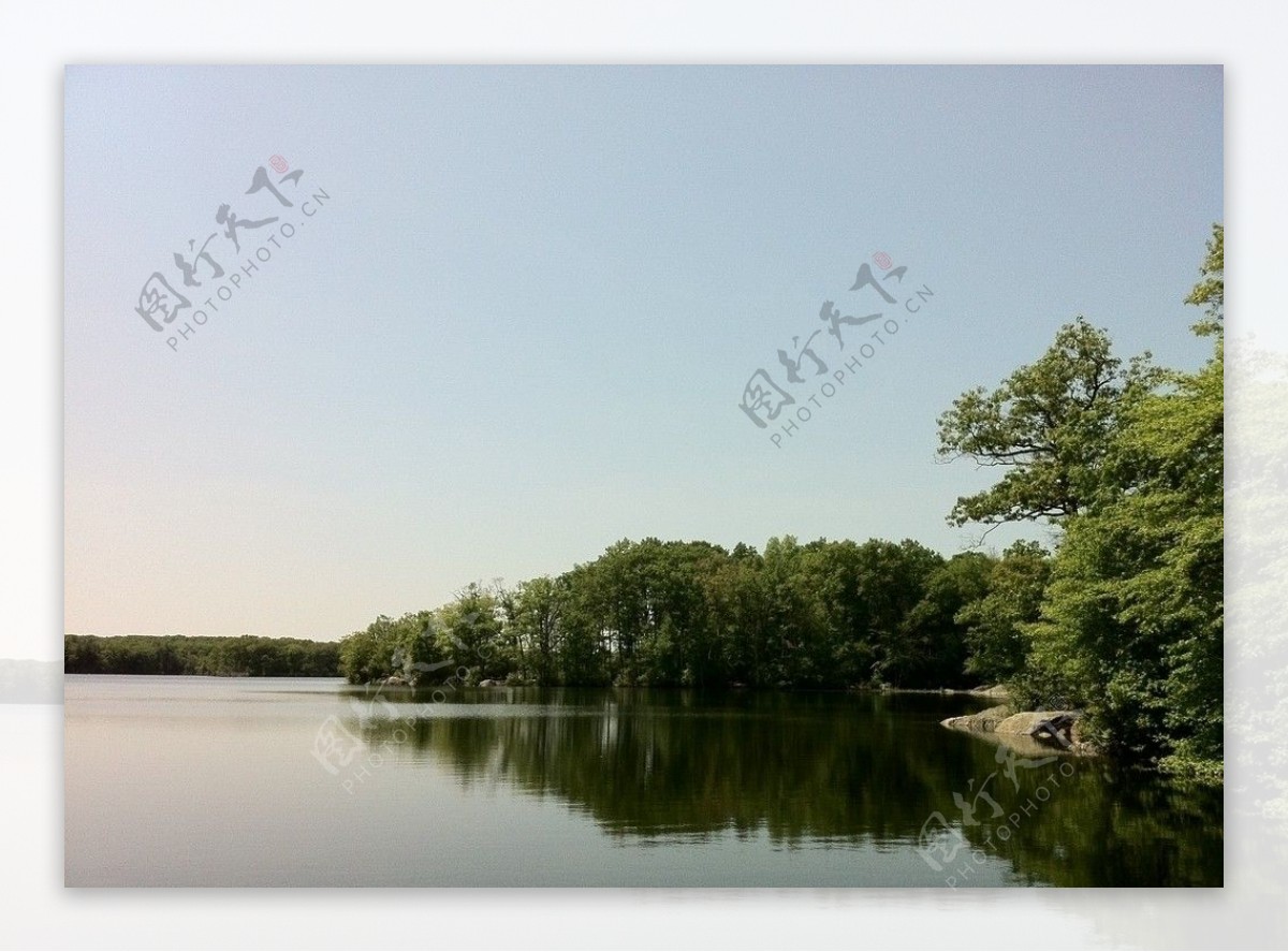 湖畔树影图片