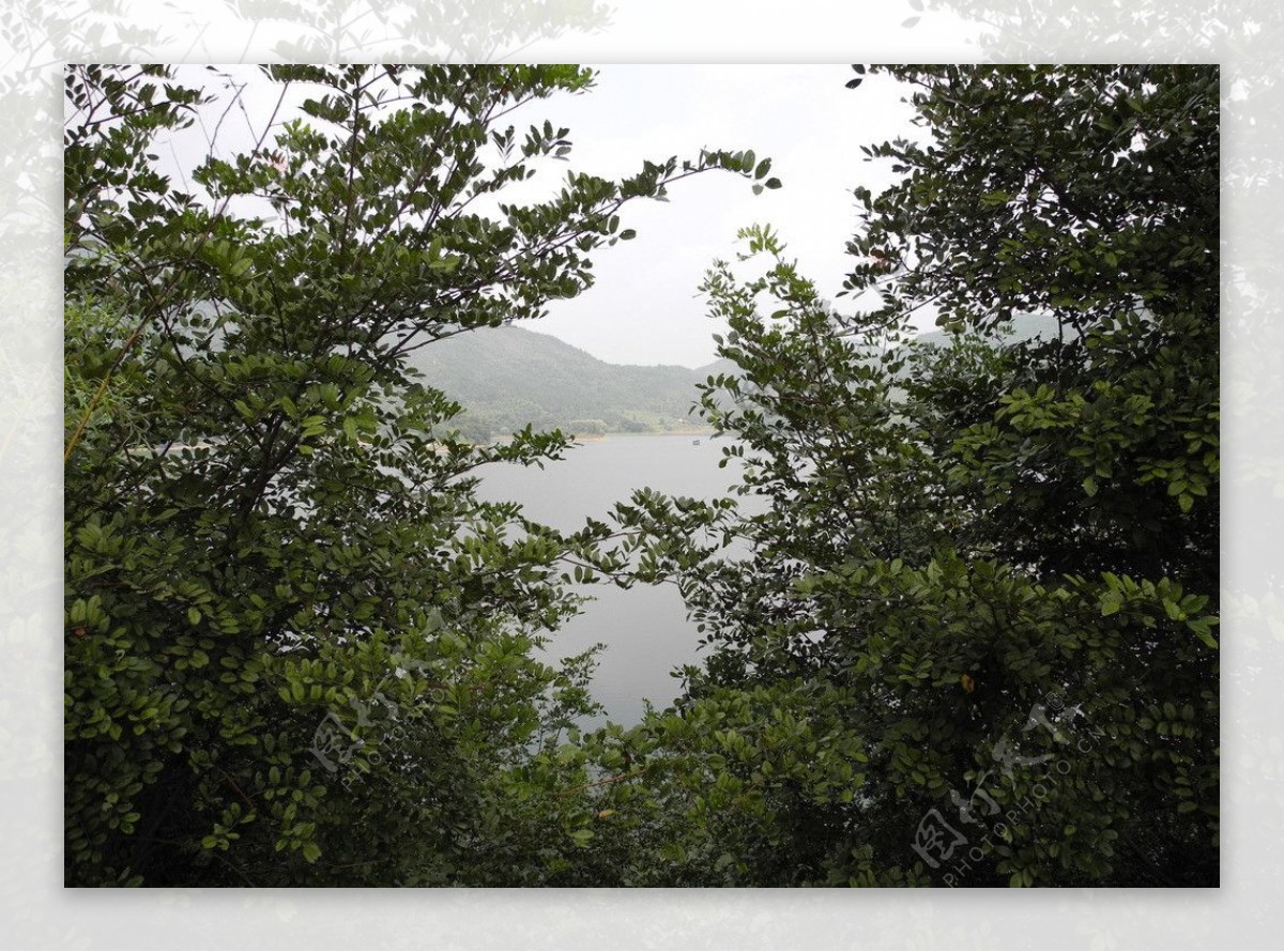 绿树掩映湖面图片