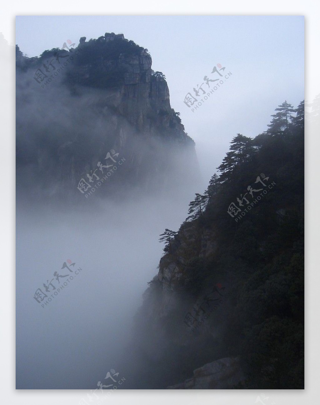 远山松树云雾缭绕图片