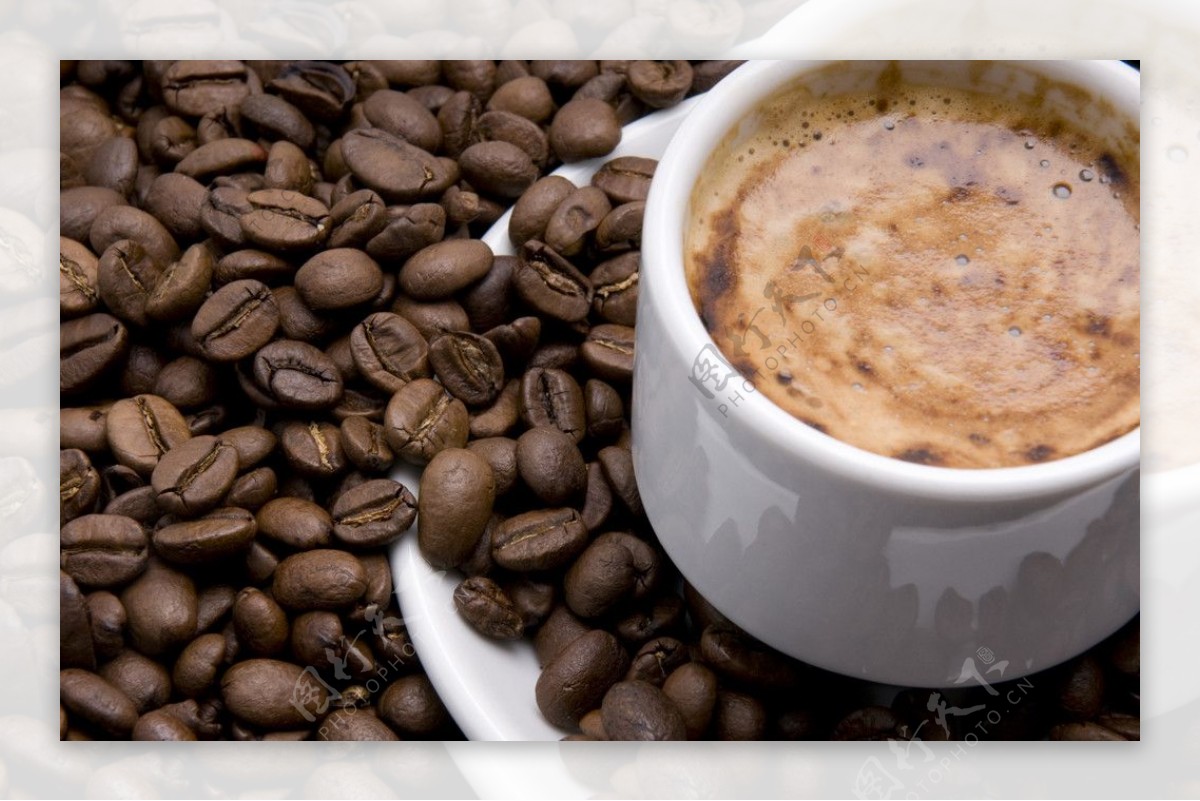 20张咖啡豆高清晰图片