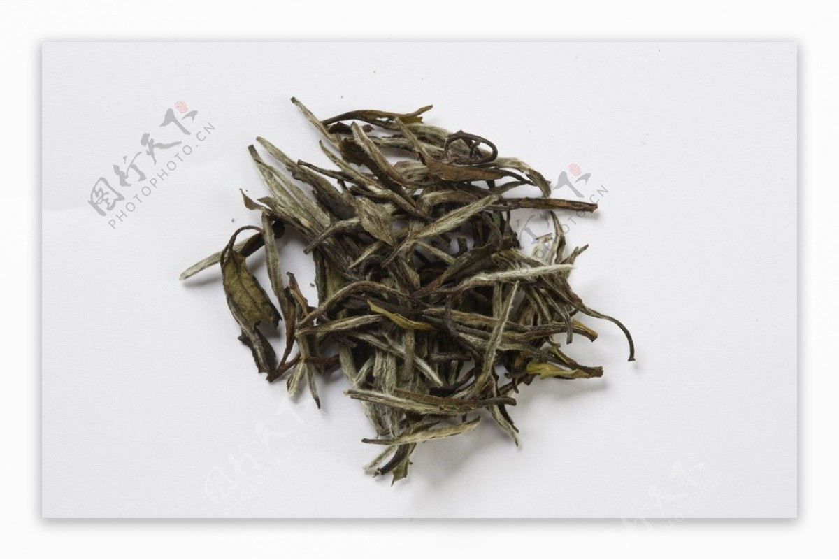 白牡丹茶叶名茶中国名茶图片