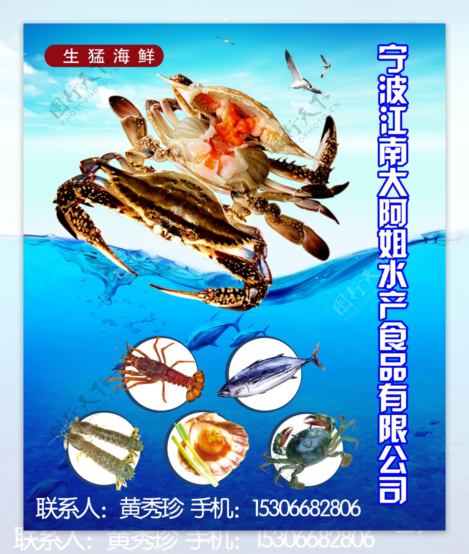 红膏蟹海鲜展板图片