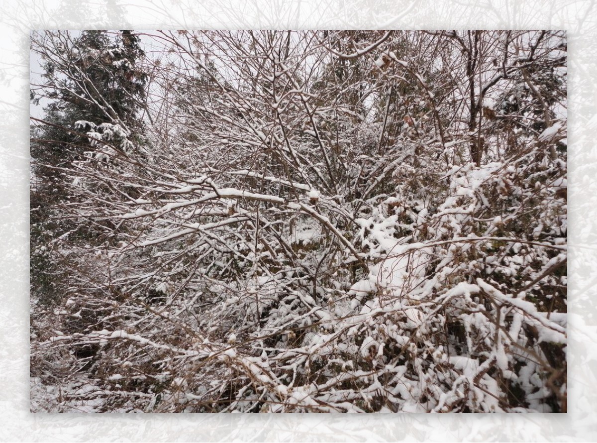 山村雪景图片