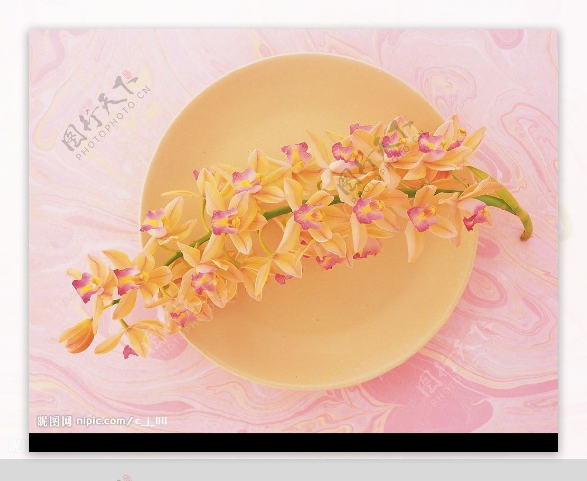 餐桌上的肉粉色小花图片