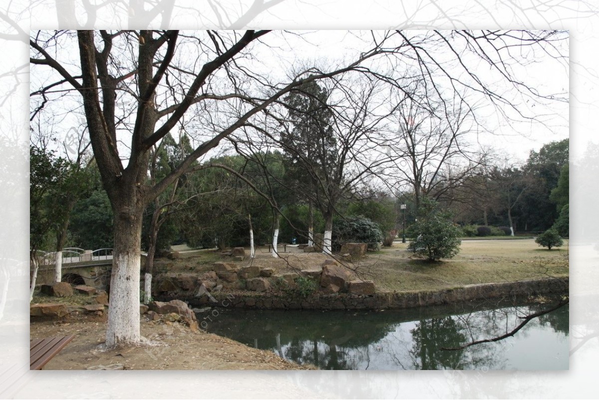 自拍的高清公园风景冬季的湖边小树图片