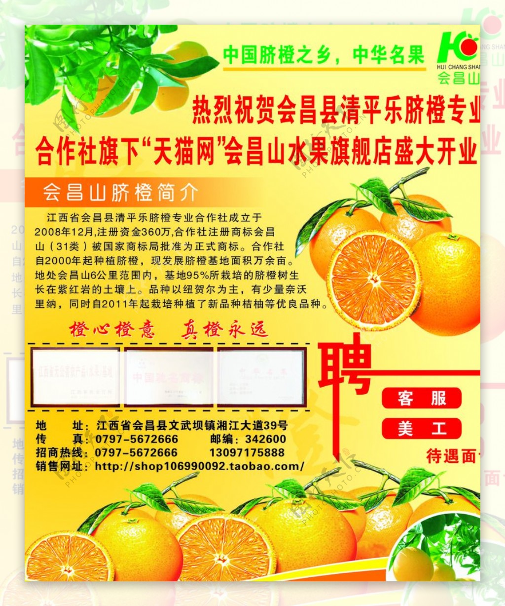 清平乐脐橙海报图片