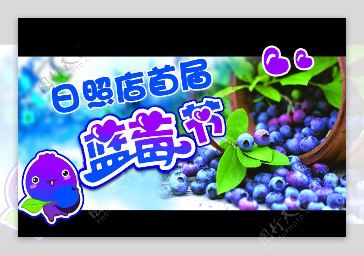 蓝莓节图片