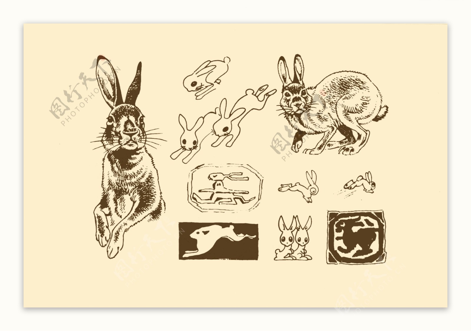 动物图案兔子图片