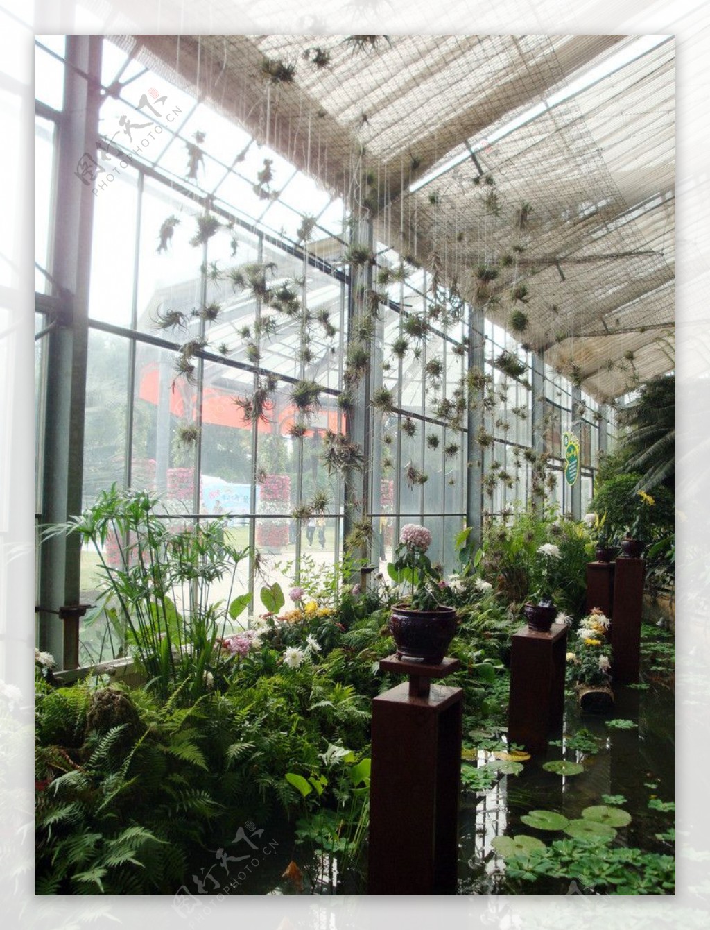 武汉植物园室内装饰图片