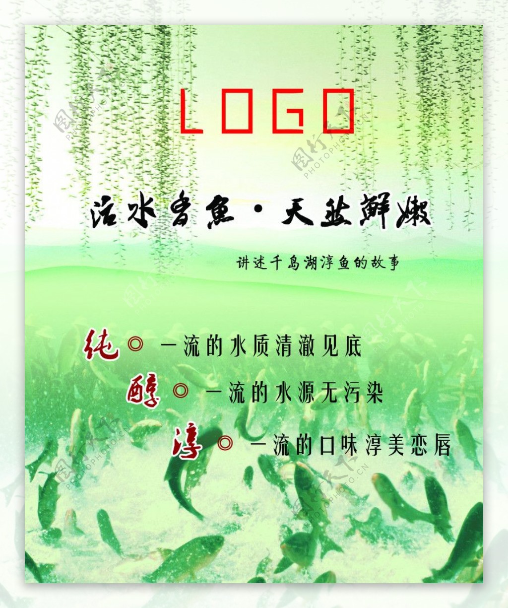 千岛湖鱼海报图片