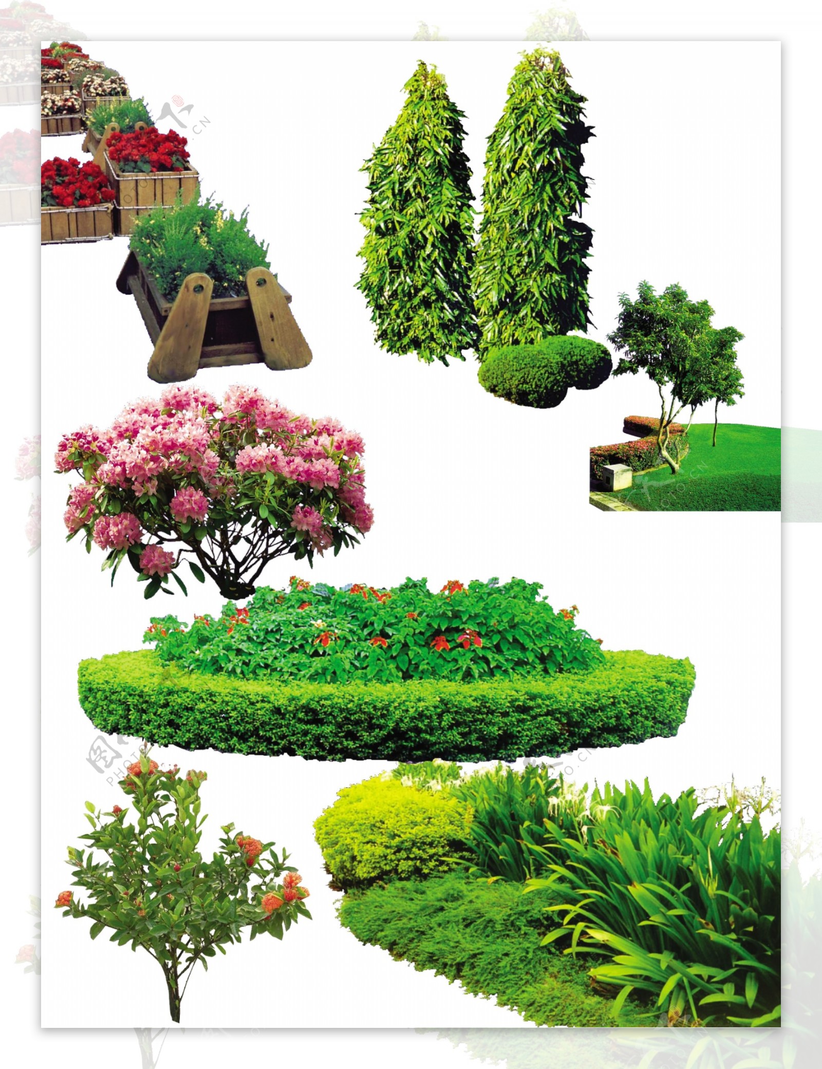 绿色植物花坛图片