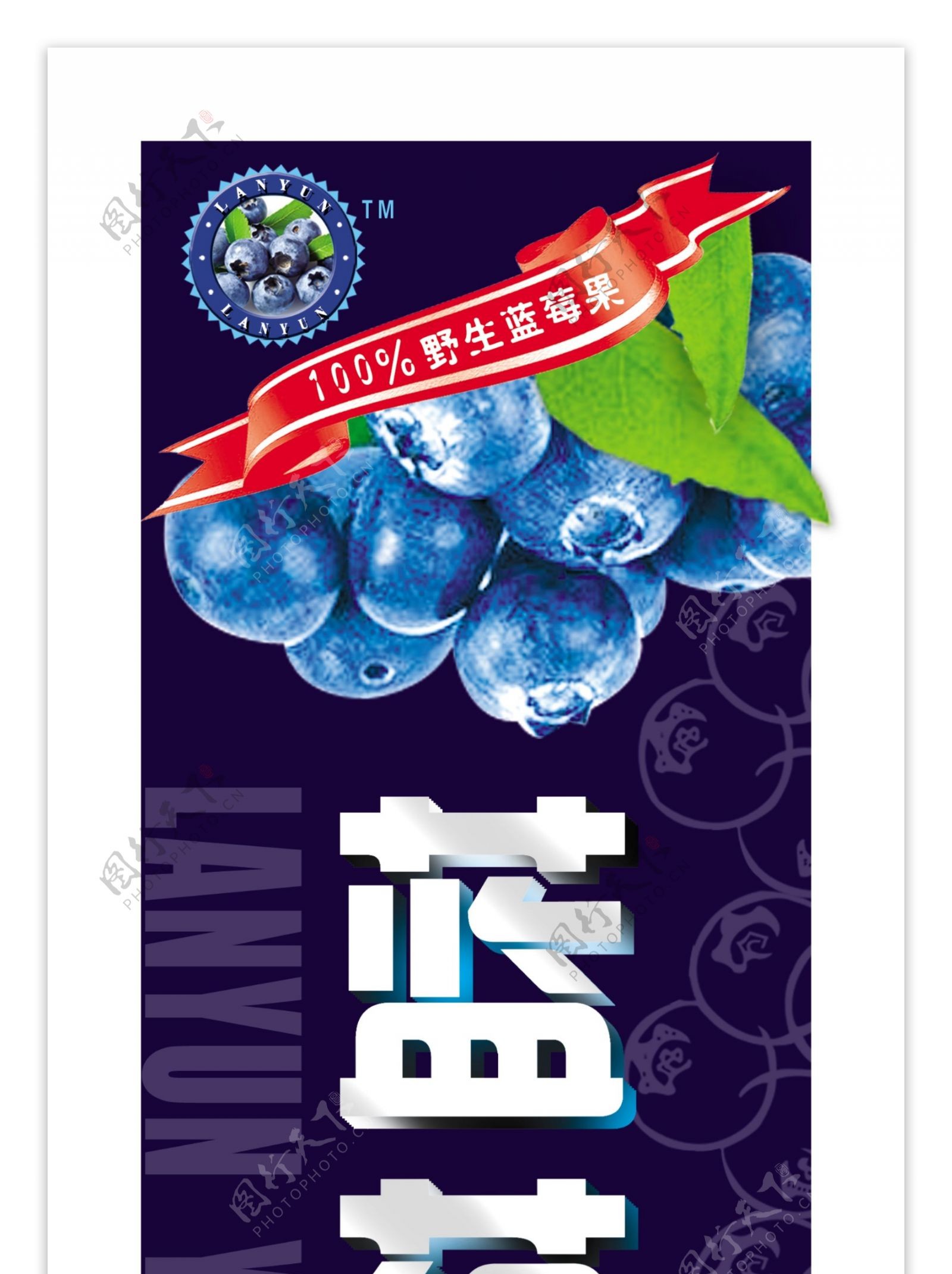 蓝莓标设计图片