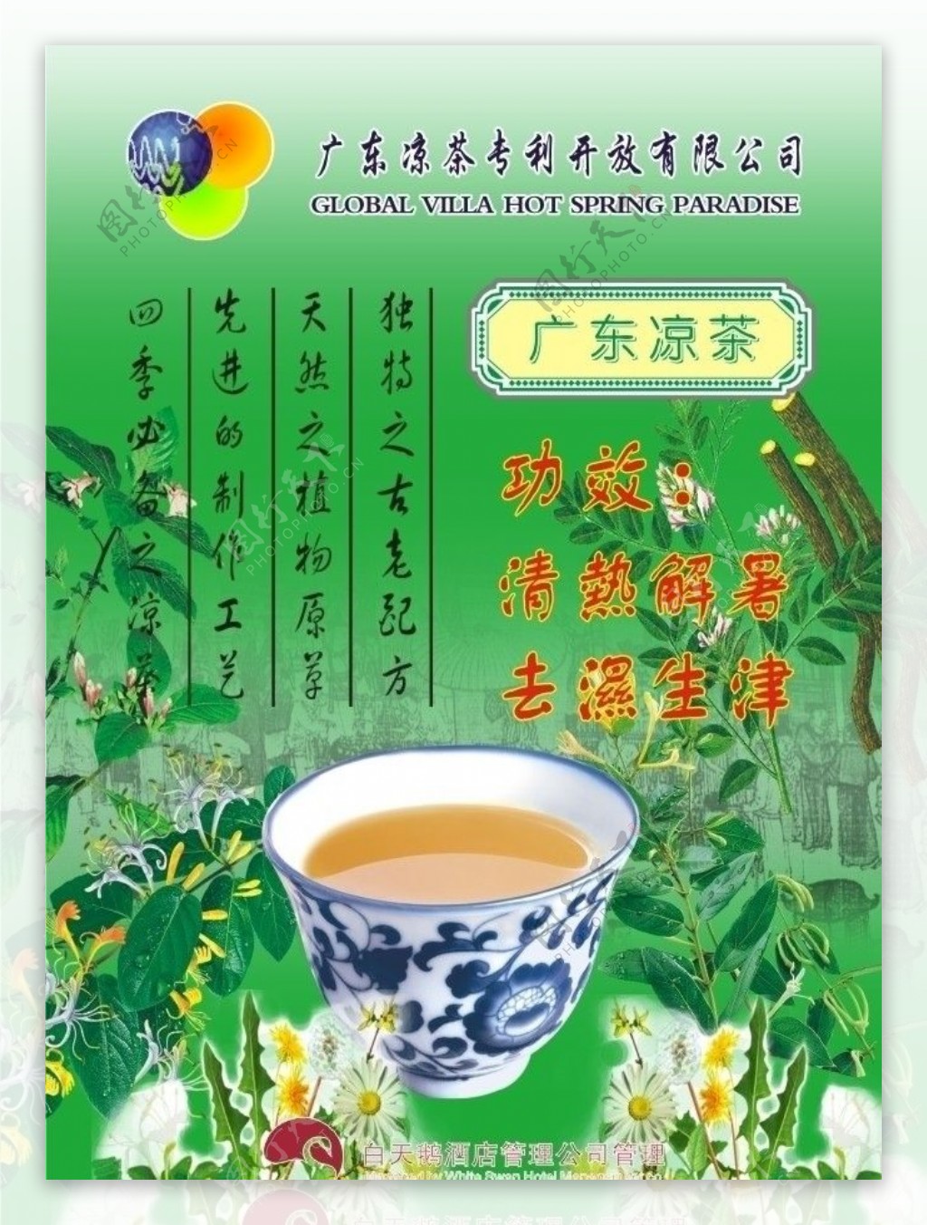 广东凉茶图片