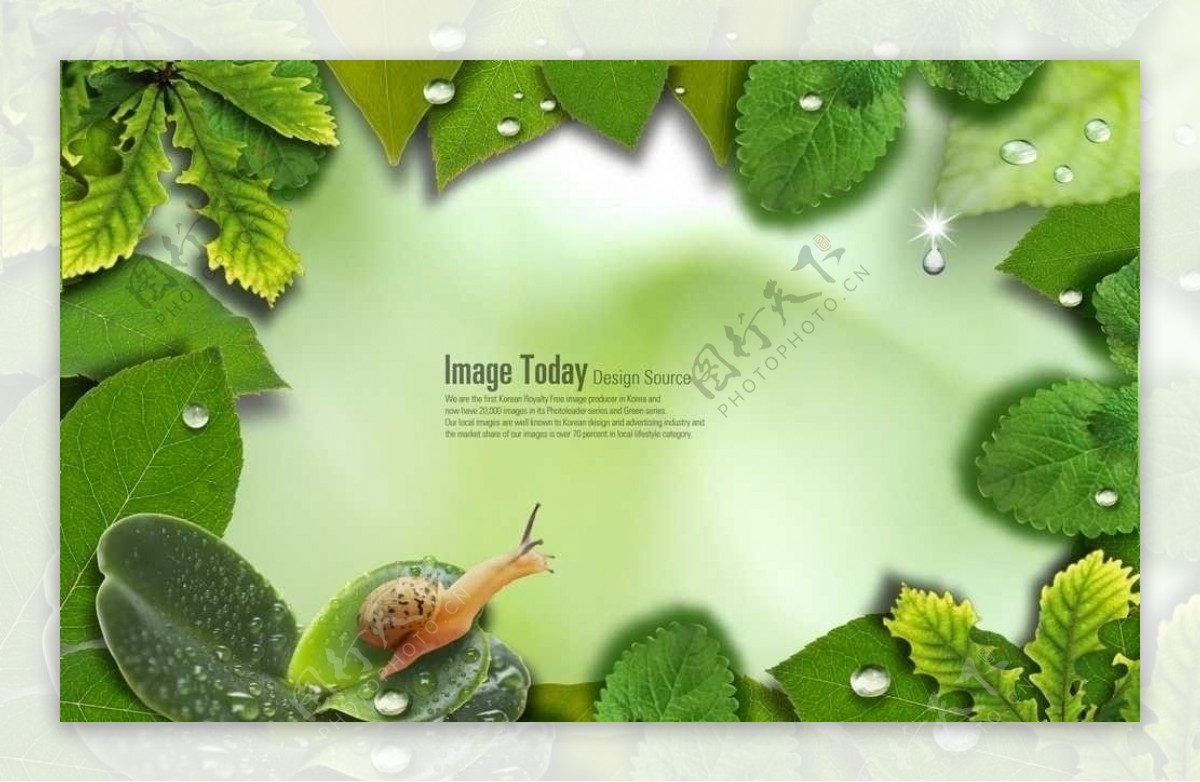绿色自然蜗牛图片